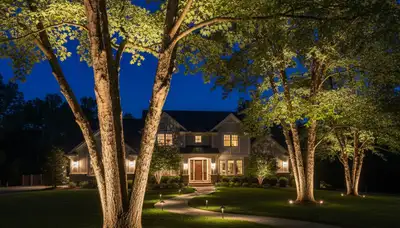 Tree uplighting highlighting mature trees at night by Chop Chop Landscaping in Harrisburg, PA